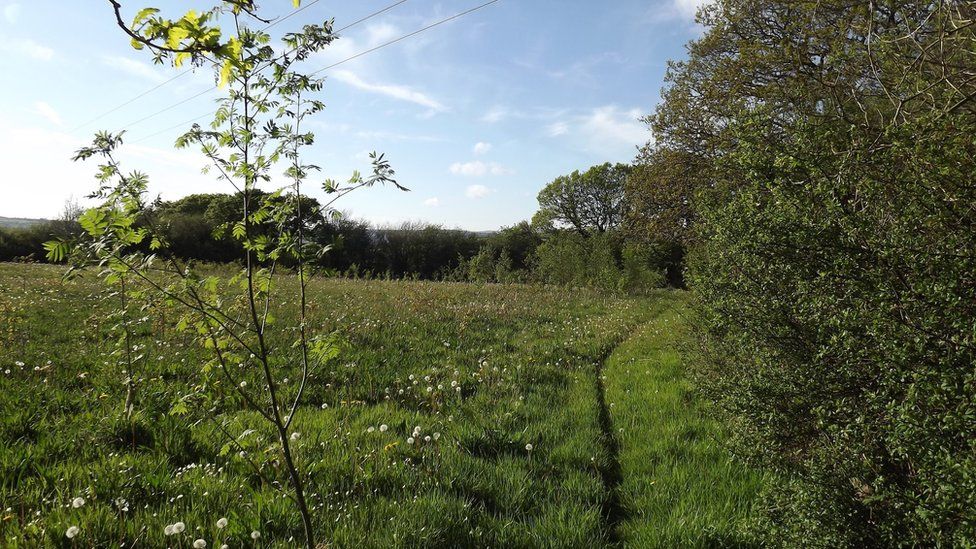 cult of the lamb natural burial