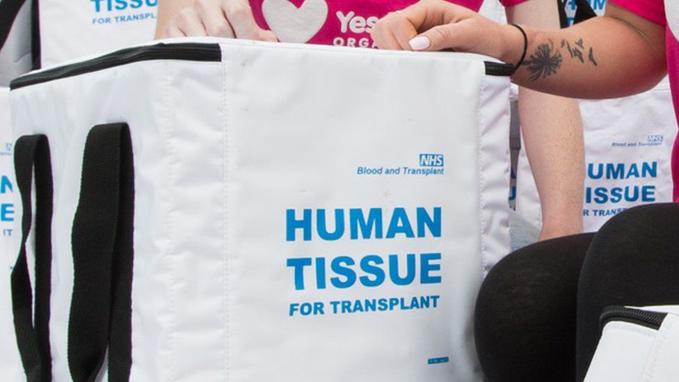 Human tissue transplant bag