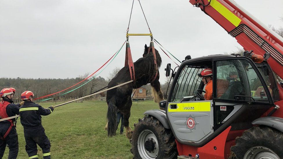 Das Pferd wird von der Feuerwehr gerettet