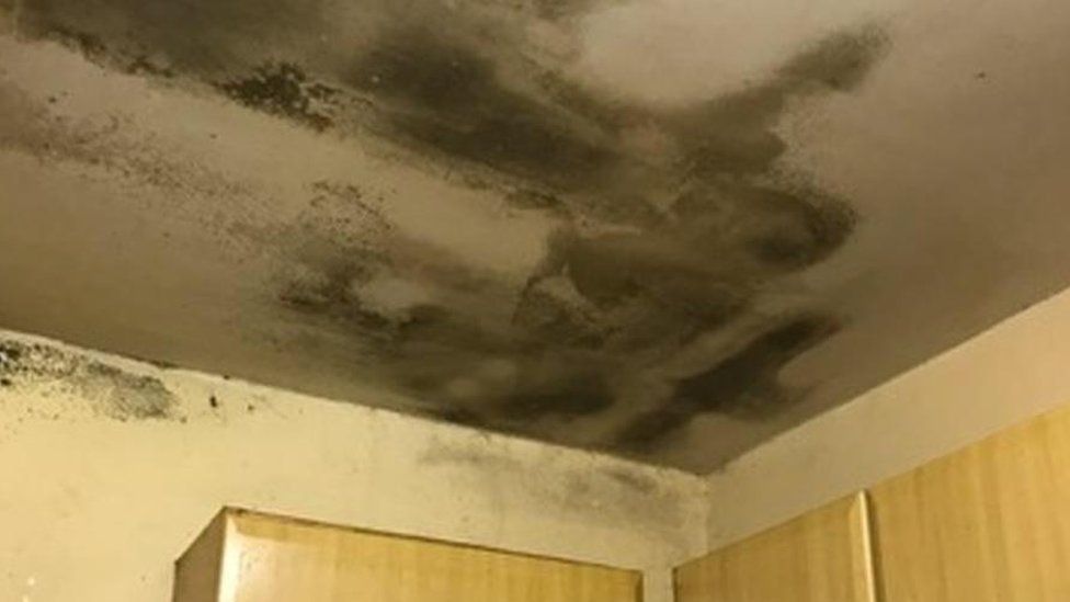 Mould on kitchen ceiling