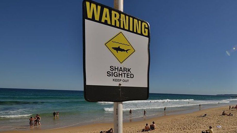 Shark warning signs are seen posted on the beach in the northern New South Wales city of Newcastle on 17 January, 2015