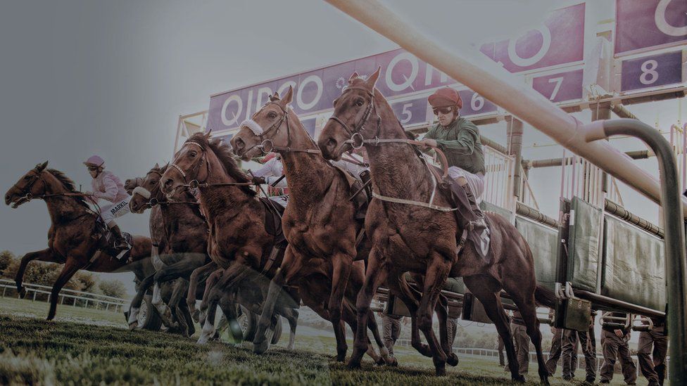 Horses emerging from the starting stalls