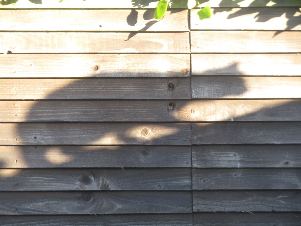 The shadow of a cat cast upon a wooden fence