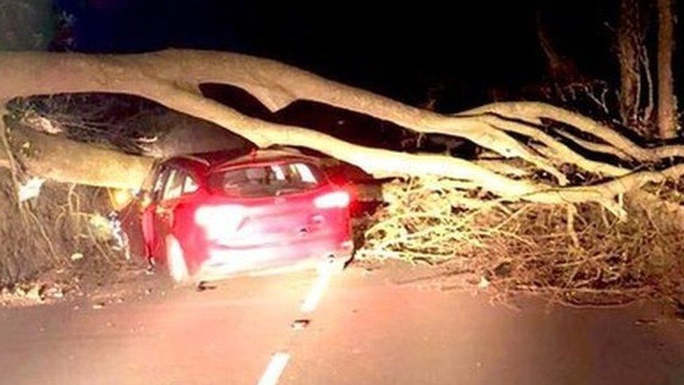 Paul Mee's car damaged by a fallen tree on Anglesey