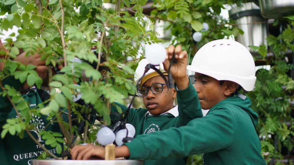 Children planting trees