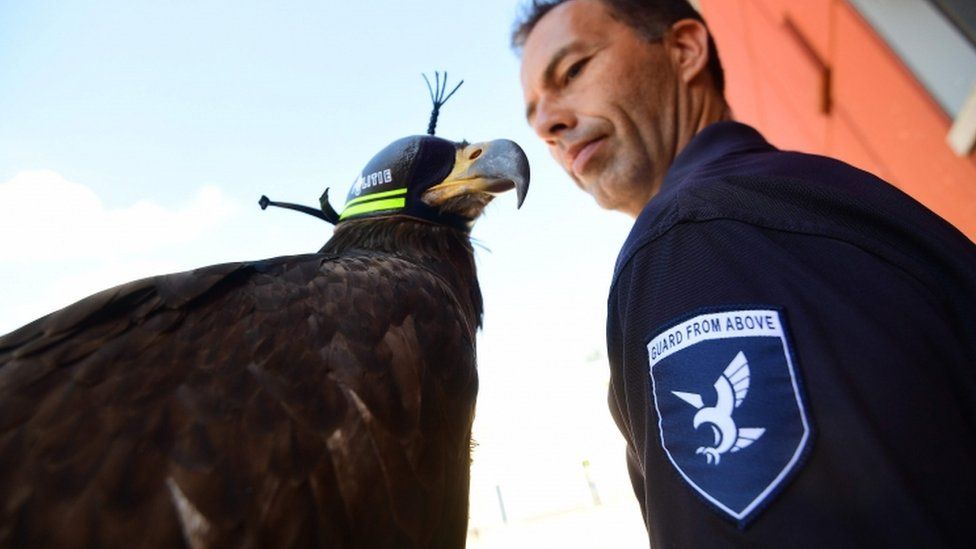 Eagle and officer