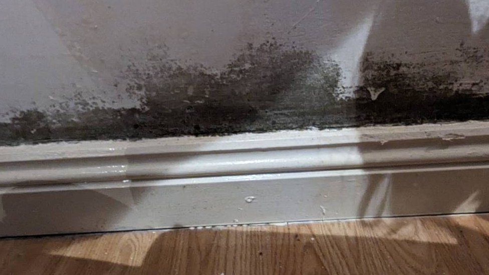 Mould in Jade Davies's home