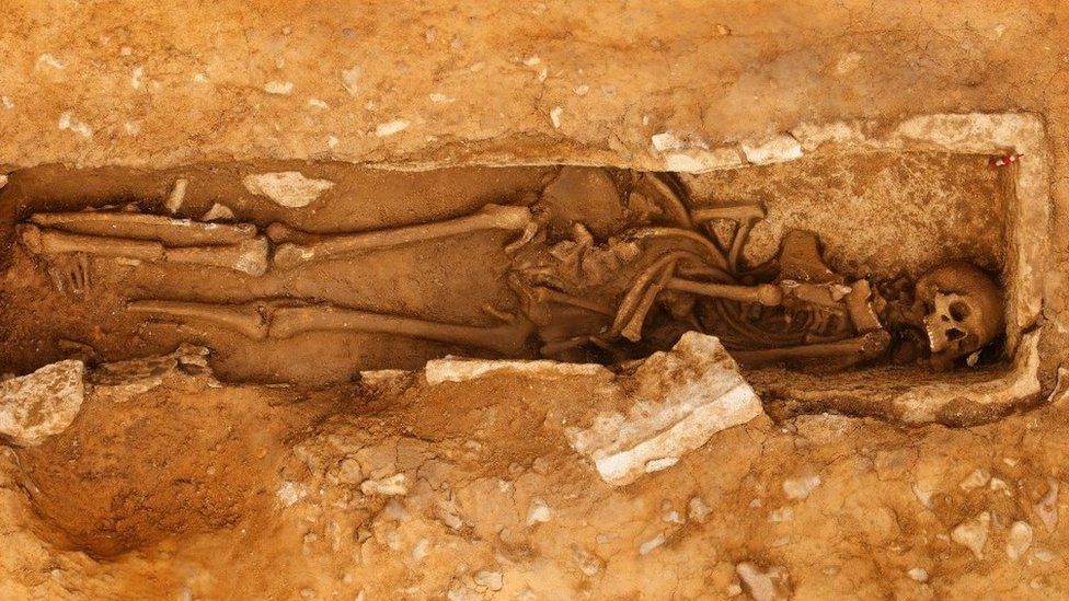 Skeleton of a Roman man unearthed at Woodsford Quarry