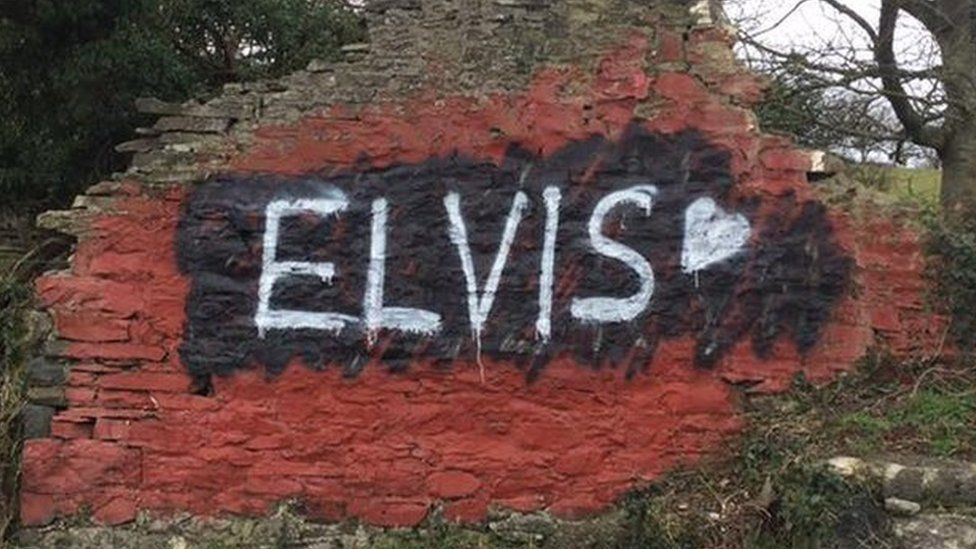 Elvis on the Cofiwch Dryweryn wall