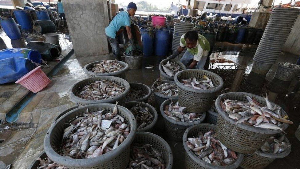 To match Thomson Reuters Foundation story THAILAND-FISHING/ REUTERS/Chaiwat Subprasom