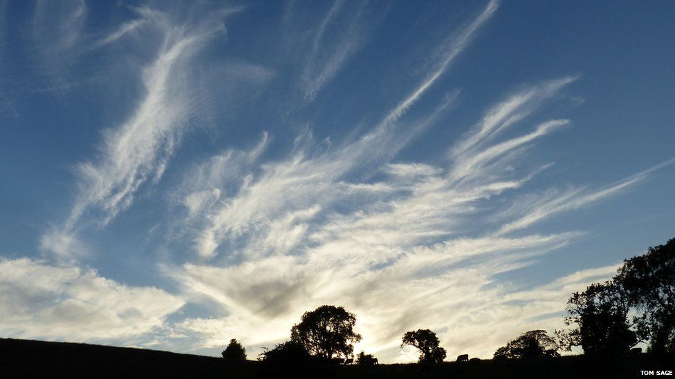 Cirrus spissatus clouds over silhouetted trees