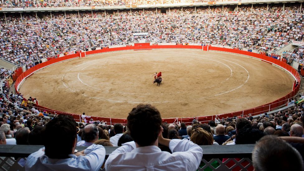 Bullfighter Serafin Marin performs during the last bullfight at the La Monumental on September 25, 2011 in Barcelona, Spain.Top matadors including Jose Tomas, Serafin Marin and Juan Mora will perform the last bullfights in Catalonia in front of an arena filled to a capacity 20,000, following the vote by the Catalan regional Parliament to ban bullfighting
