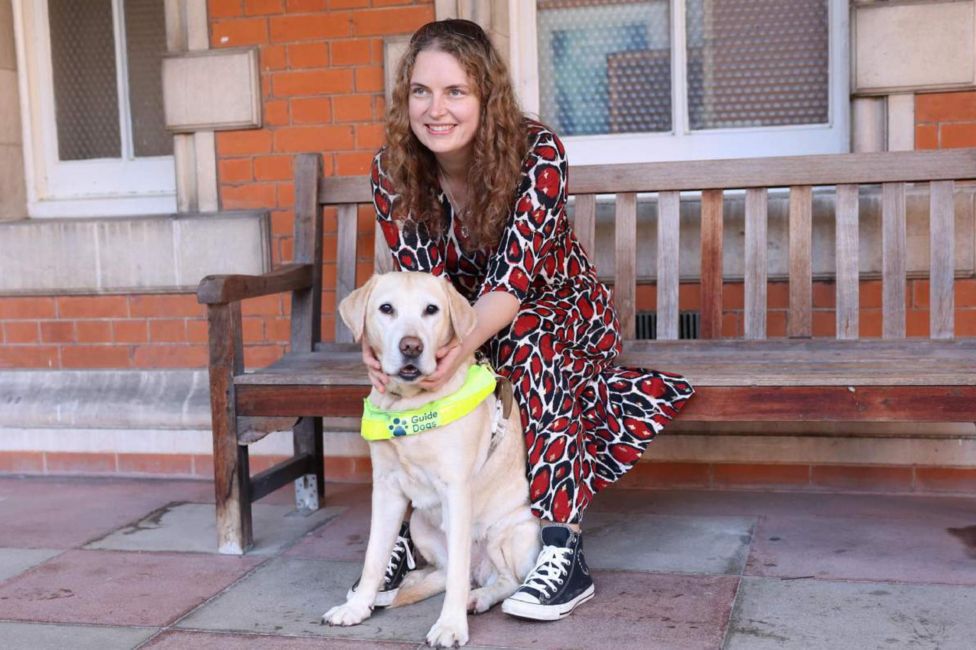 Guide dogs: Government plans to stop businesses refusing access - BBC News