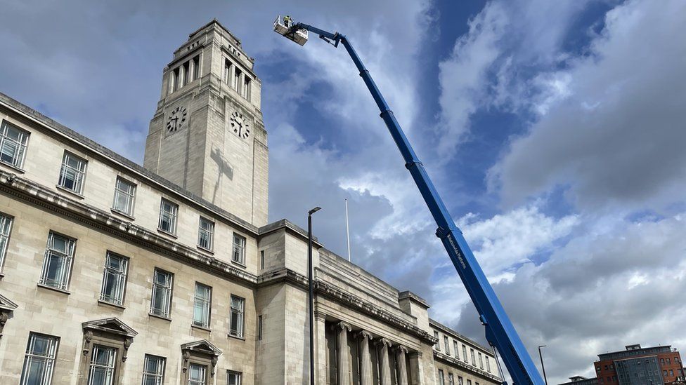Leeds peregrine falcons: Bird net removed from uni building - BBC