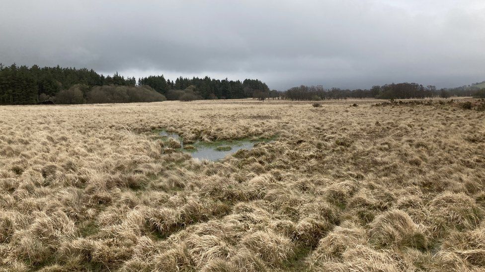 Damaged peatland at the national park