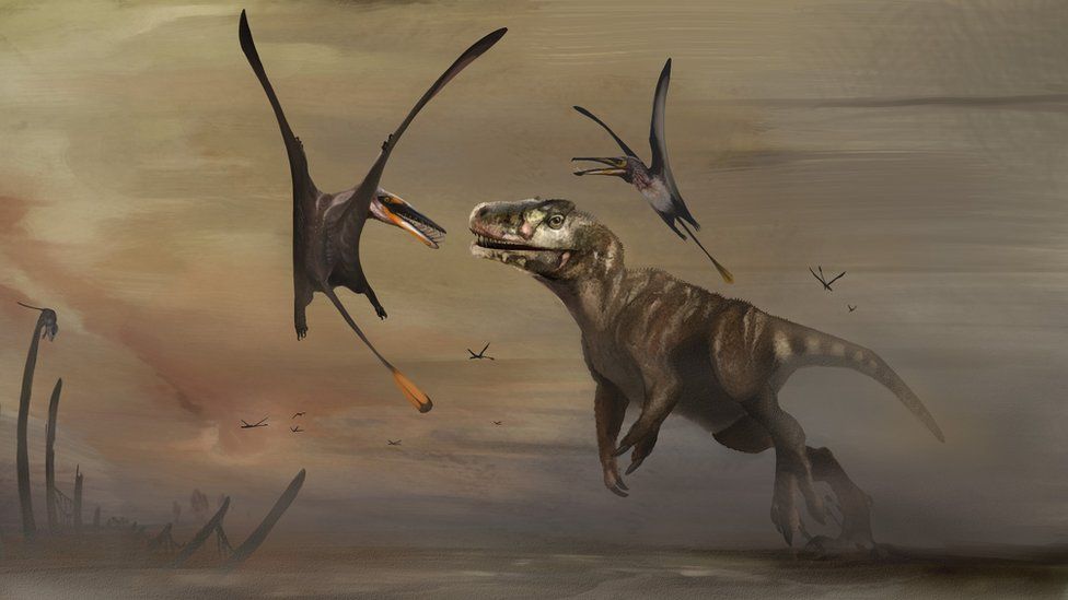 Artist's impression of the pterosaur when it flew 170 million years ago