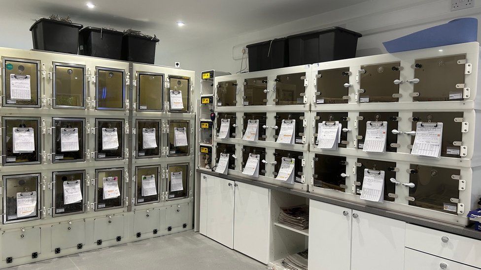 A room full of boxes where the hedgehogs are kept at the rescue