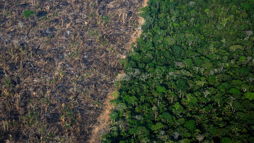 Aerial view showing a deforested area of the Amazonia rainforest in Labrea, Amazonas state, Brazil, on 15 September 2021.