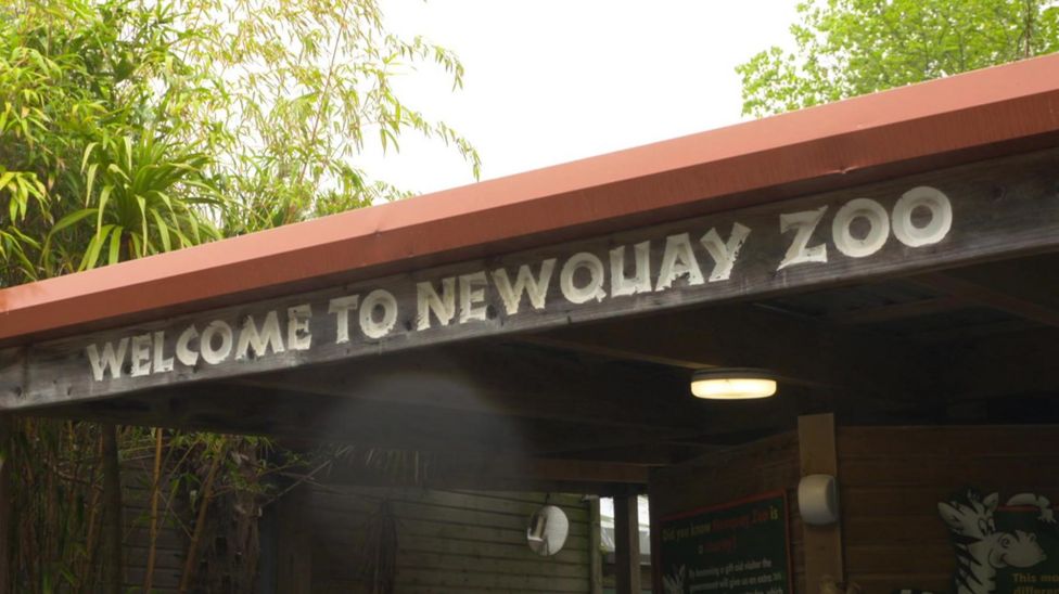 Job losses announced at Paignton Zoo and Newquay Zoo - BBC News