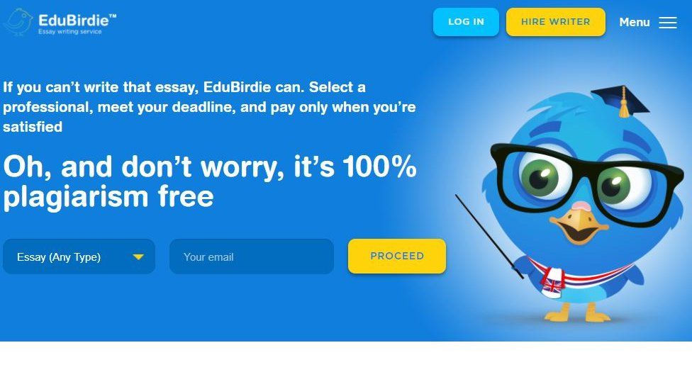 get an essay written for you for free