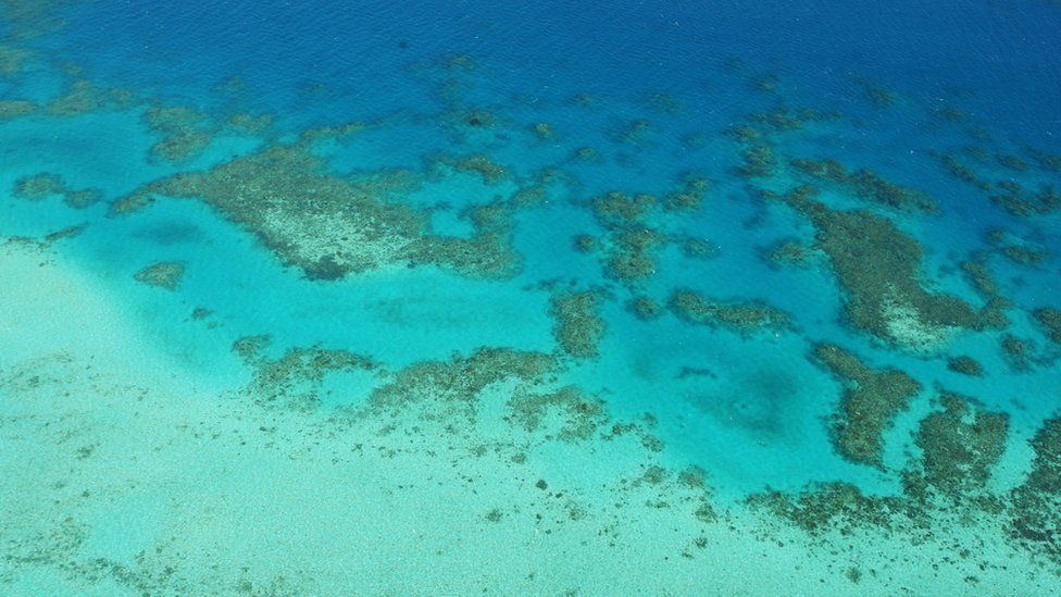 An aerial view of the Great Barrier Reef. Deep blue water in the distance and lighter blue in shallower water in the foreground. Coral patterns across the middle.