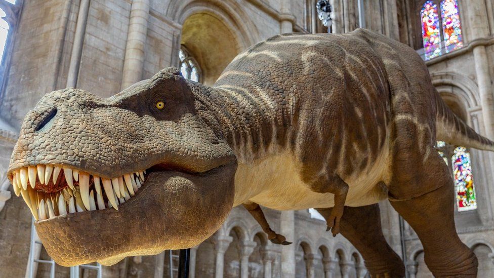 Model dinosaur in Peterborough Cathedral