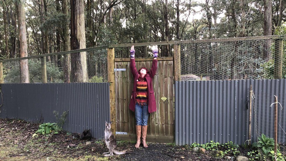A kangaroo and woman stands in front of the enclosure's fence