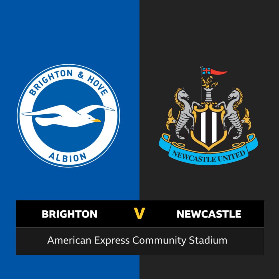 Follow Brighton V Newcastle Live - BBC Sport