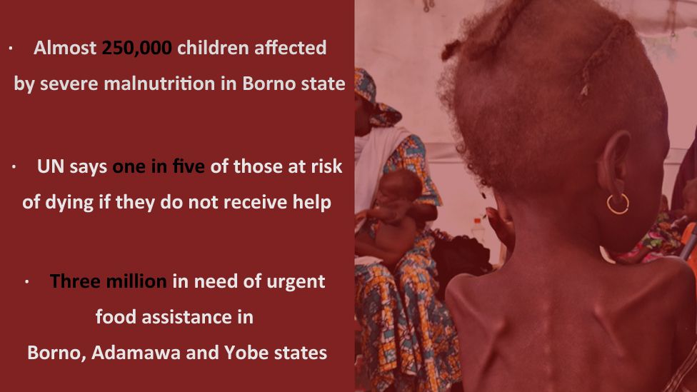 Facts about humanitarian situation in north-eastern Nigeria reading: "Almost 250,000 children affected by severe malnutrition in Borno state. UN says one in five of those at risk of dying if they do not receive help. More than two million people displaced by the insurgency. Three million in need of urgent food assistance across north-eastern states of Borno, Adamawa and Yobe"