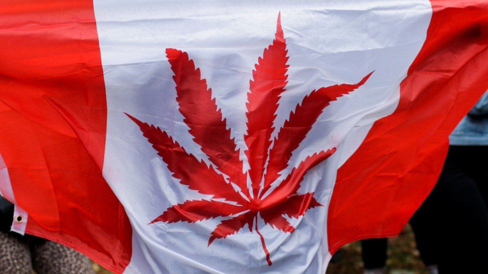 A Canada flag with a marijuana leaf on it