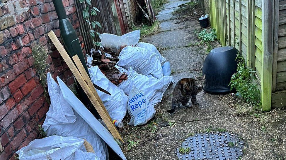 Fly-tipped rubbish and a cat in Norwich