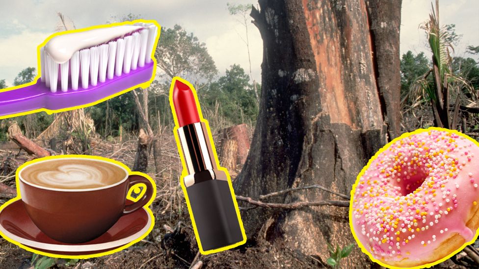 Lipstick, doughnut, coffee and toothbrush with toothpaste, superimposed on background of trees