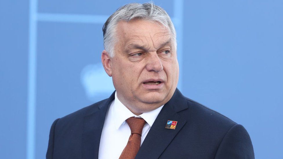 Viktor Orban: Hungary 'autocracy' verdict from EU correct, say activists -  BBC News