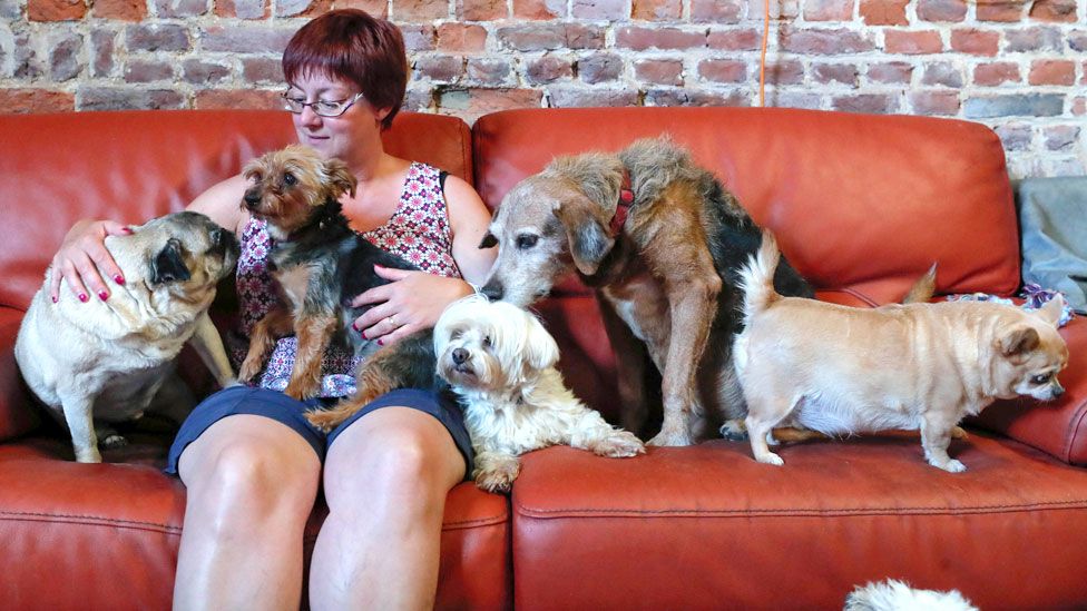 Valerie Luycx, a founder of the association "Les Petits Vieux" acting as home for elderly animals, sits among some of the hundreds of pets