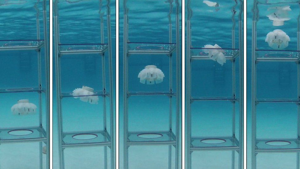 Jellyfish robots in glass tubes