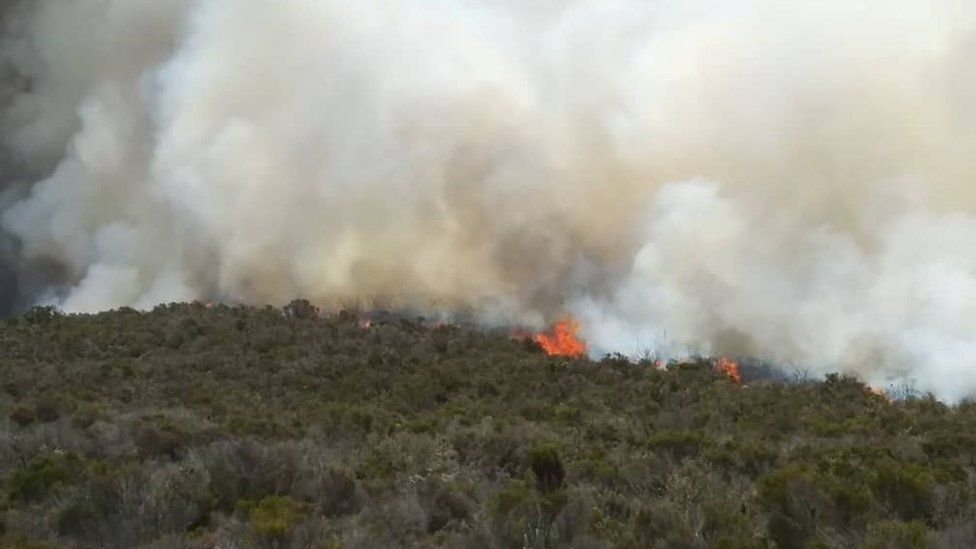 Kilimanjaro: Hundreds of volunteers help control blaze - BBC Newsround