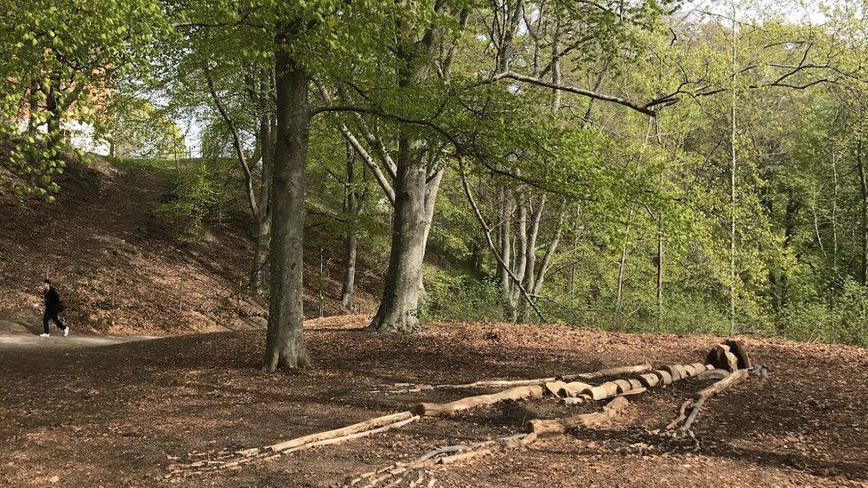 Giant stick skeleton coming to Eden Project BBC News
