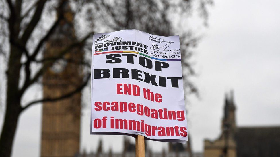 Stop Brexit banner