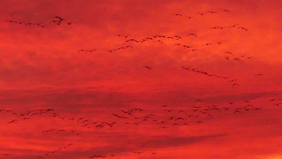 Spectacular sunsets light up UK skies - BBC News