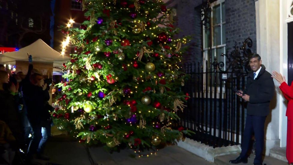 Dartmoor Christmas Trees supplies Downing Street Christmas tree BBC News