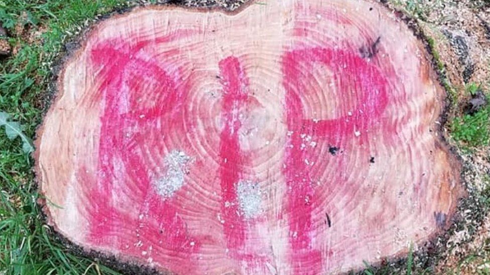 Maple tree stump with RIP painted in red