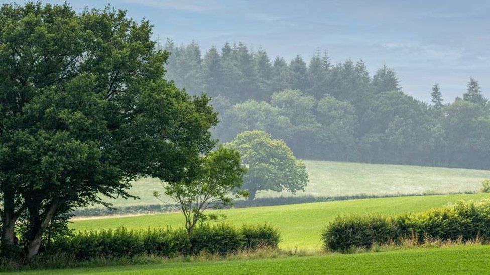 Bere Marsh Farm