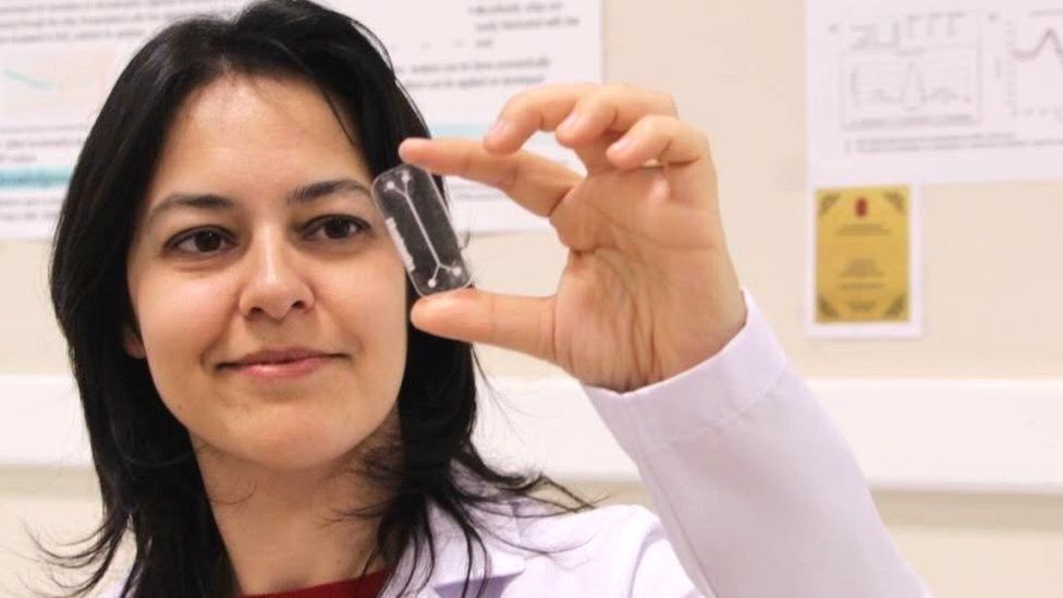 Ahu Arslan Yildiz holds up a bioprinted cancer tumour