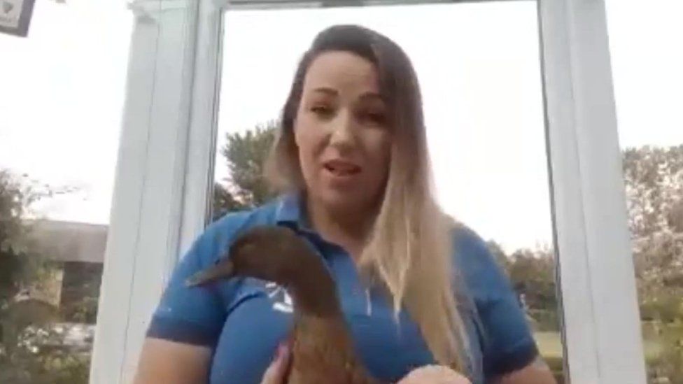 woman holding duck