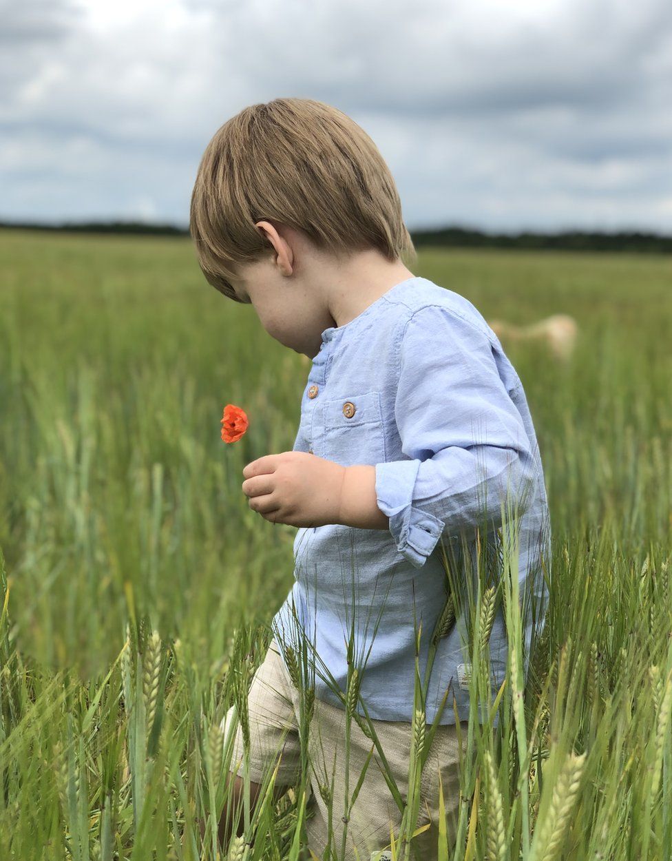 Boy and flower