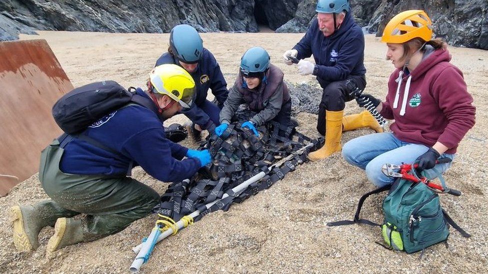 Leden van de BDMLR verwijderen de plastic ring rond de nek van de zeehond