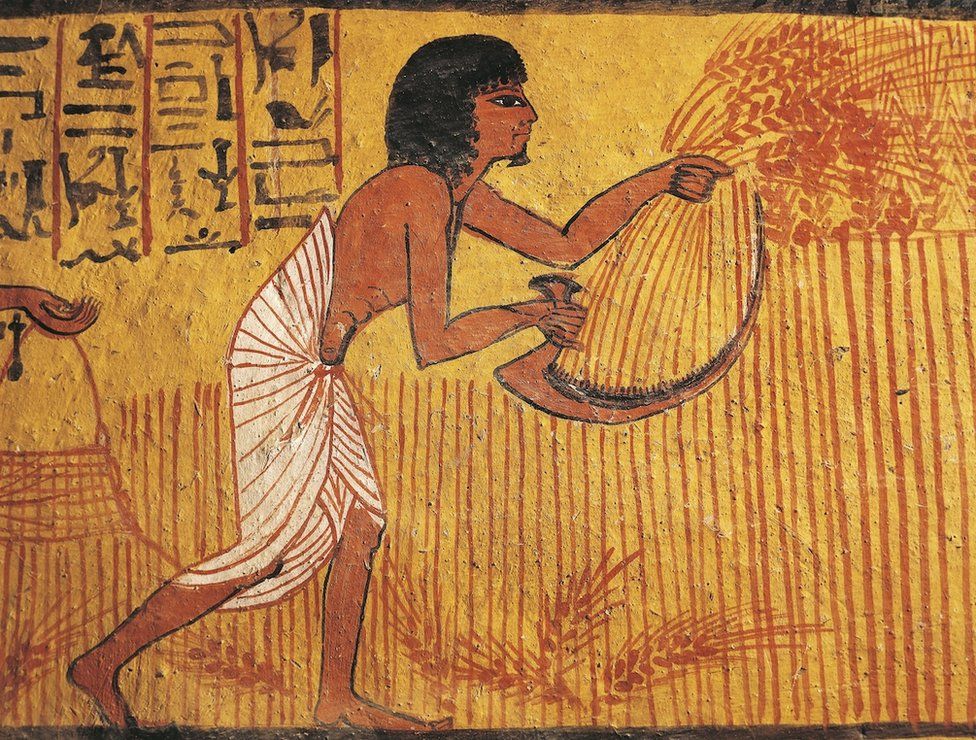 Настенная роспись фермера из гробницы Сеннеджема, ремесленника, жившего в Древнем Египте