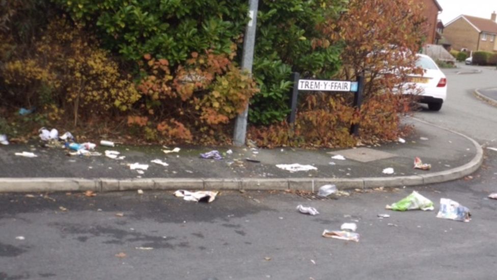 Conwy fourweekly bin collection is 'health timebomb' BBC News