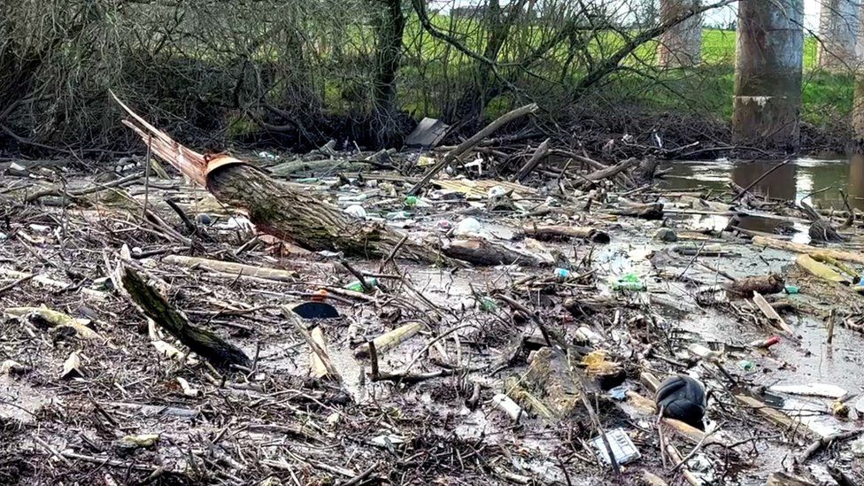 At the beginning of March tree debris fell into the Tyrone side of the River Blackwater
