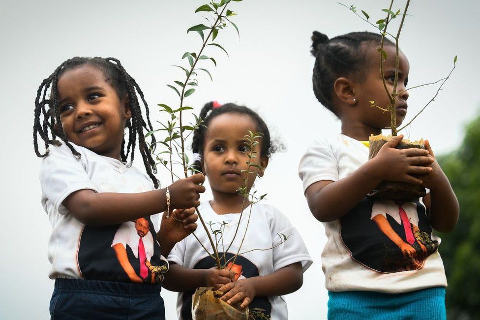 Young Ethiopian girls take part in a national tree-planting drive in the capital Addis Ababa - 28 July 2019